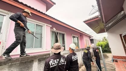 กำจัดตัวต่อหัวเสือ และรังแตน เพื่อความปลอดภัยของประชาชน