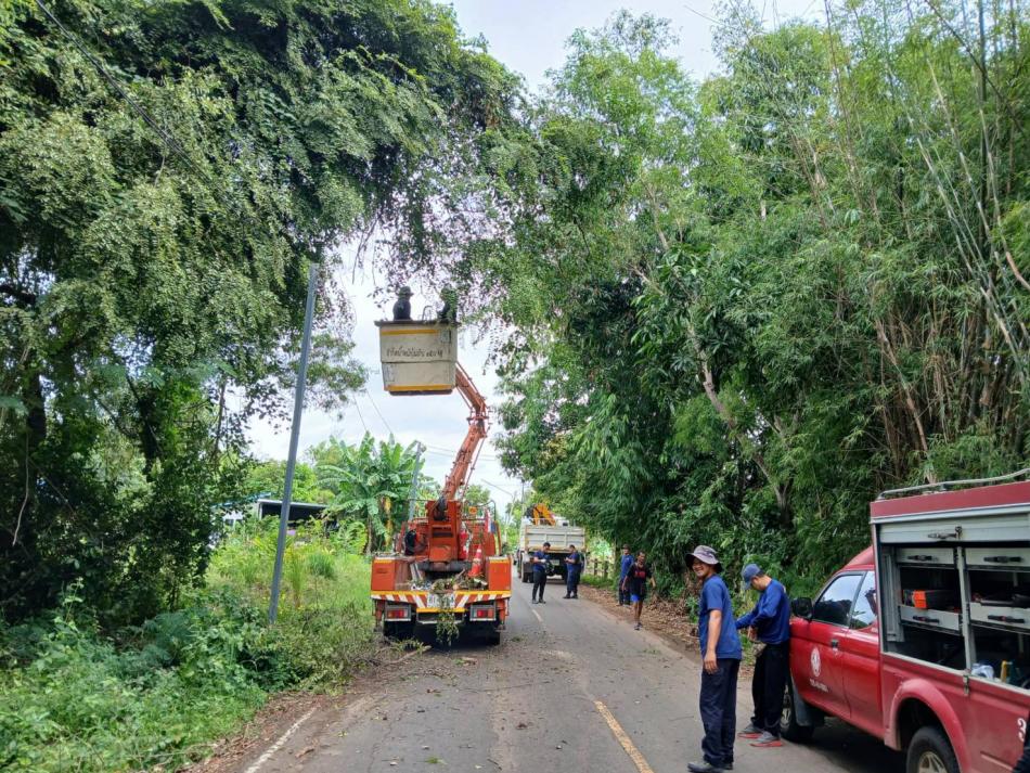 ตัดกิ่งไม้ เพื่อบรรเทาความเดือดร้อนของประชาชน